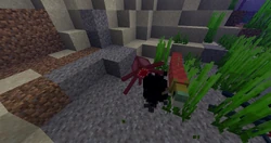 Squid Official Minecraft Wiki
