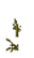 Stem Age 13 JE2.png