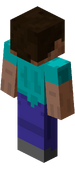 Steve (back).png