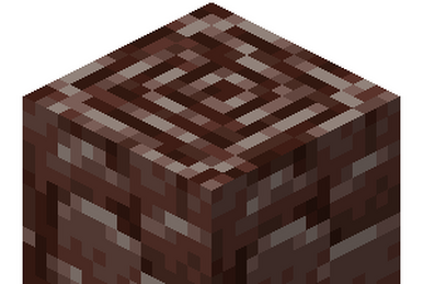 A briefish history of the Nether