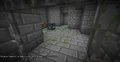 A skeleton dungeon that generated in a stronghold