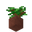 Potted Dark Oak Sapling UNKVER2 (facing NWU).png