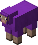 Purple Sheep BE