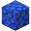 Tube Coral Block