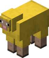 Yellow Sheep BE