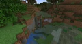 A ravine generating between the borders of a swamp and plains biome.