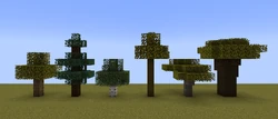 Foliage color in drier biomes.