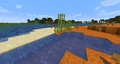 Sugar cane growing on red sand in a badlands biome.