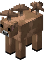 Brown Mooshroom