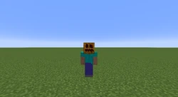 A player wearing a pumpkin.