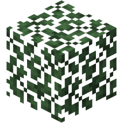 Taiga