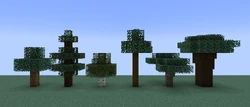 Foliage color in colder biomes.