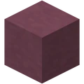 Purple Terracotta