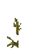 Stem Age 13 JE1.png