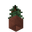 Potted Spruce Sapling UNKVER1 (facing NWU).png