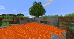 An oak tree that was generated over a lava pit. The dirt under it was replaced by stone.