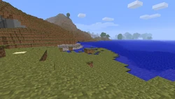 Gravel Beach in Java Edition Beta 1.7.3.