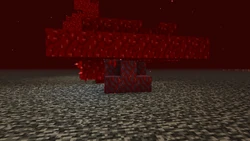 Um pequeno Fungo Enorme carmesim, com uma haste de 3x3, gerada no telhado do nether.