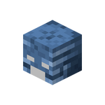 Dangerous Wither Skull.png
