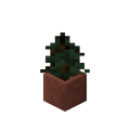 Potted Spruce Sapling.png