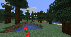 Old Growth Taiga – Minecraft Wiki