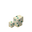 Turtle Egg 3 JE1