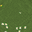 1.15 panorama 5.png