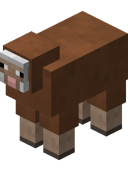 Brown Sheep JE3