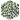 Birch Leaves JE2