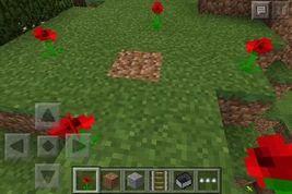 Pocket Edition 0.9.5 in game