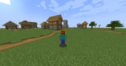 A player wearing a pumpkin.