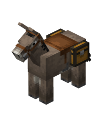 Saddled Chested Donkey