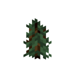 Spruce Sapling JE7 BE2