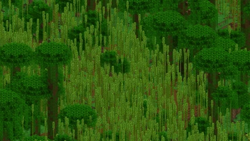 Bamboo Jungle