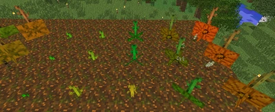 Pumpkinstems