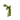 Attached Stem Age 12 JE3