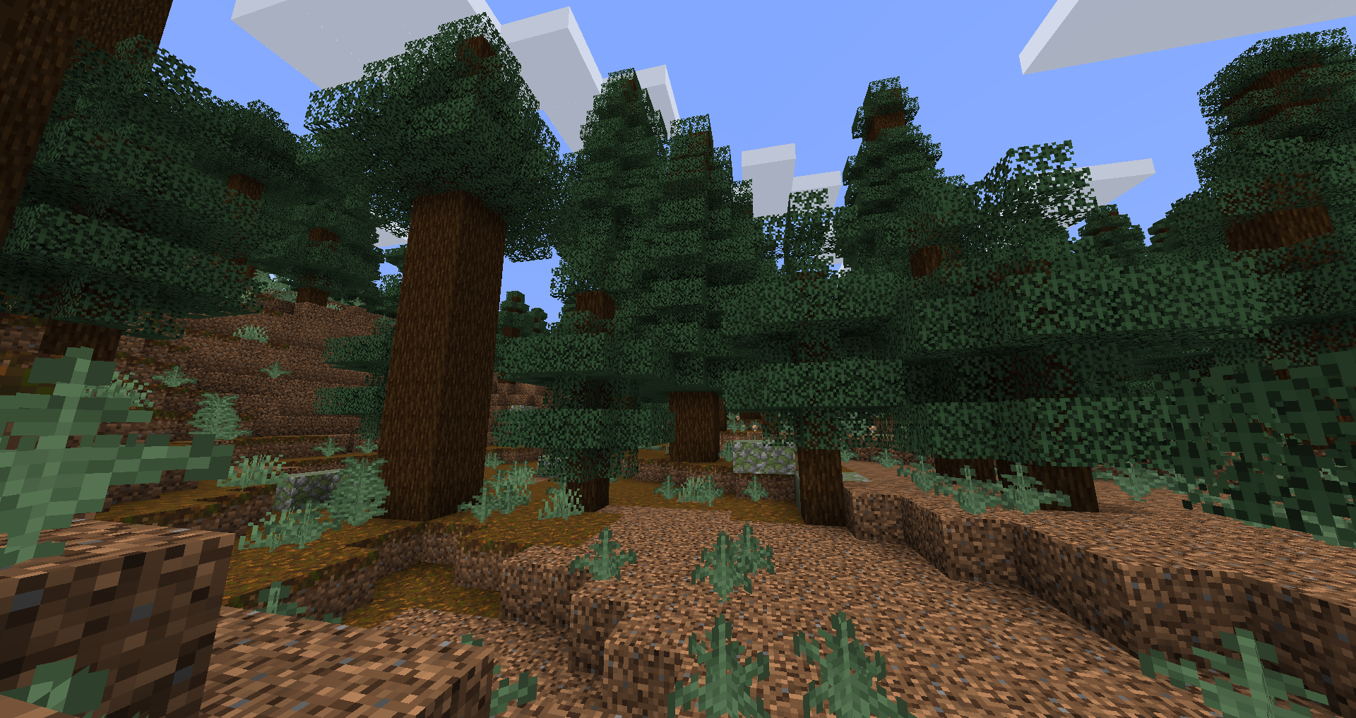 Minecraft Old Growth Pine Taiga Seeds for Bedrock Edition