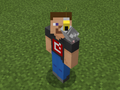 Gray Parrot on Developer Steve.png