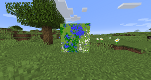 Large Biome.png