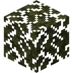Swamp