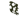 Swamp Vines