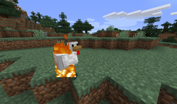 Chicken – Minecraft Wiki