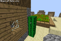 Natural cactus generated against an NPC Village structure.