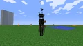 A green-eyed enderman looking at the player.