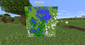 Example of a massive Plains/Windswept hills/Forest Biome on a map.