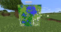 Mapa de exploração - Minecraft Wiki