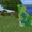 Large Biomes