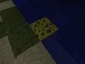 Sponge does not affect water in SMP.