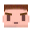 SteveFace.png