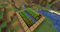 Carrots and Potatoes found growing naturally in a NPC Village